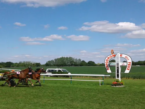 Les pronostics hippiques pour ce dimanche 21 avril